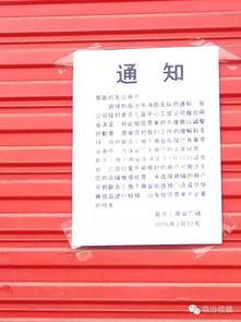 最新爆料见闻100字,见闻100字背后的惊人真相 第2张 最新爆料见闻100字,见闻100字背后的惊人真相 第2张