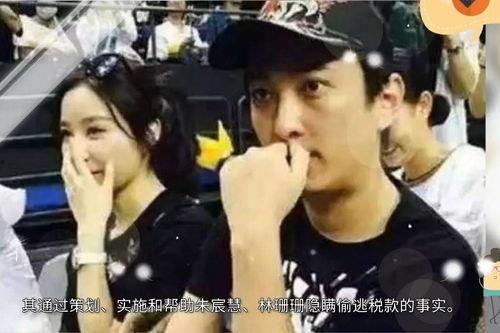 娱乐圈偷税八卦最新爆料,最新爆料揭露惊人内幕 第1张 娱乐圈偷税八卦最新爆料,最新爆料揭露惊人内幕 第1张