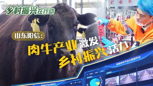 阳信牛肉爆料视频播放,揭秘视频播放背后的惊人数据 第1张 阳信牛肉爆料视频播放,揭秘视频播放背后的惊人数据 第1张